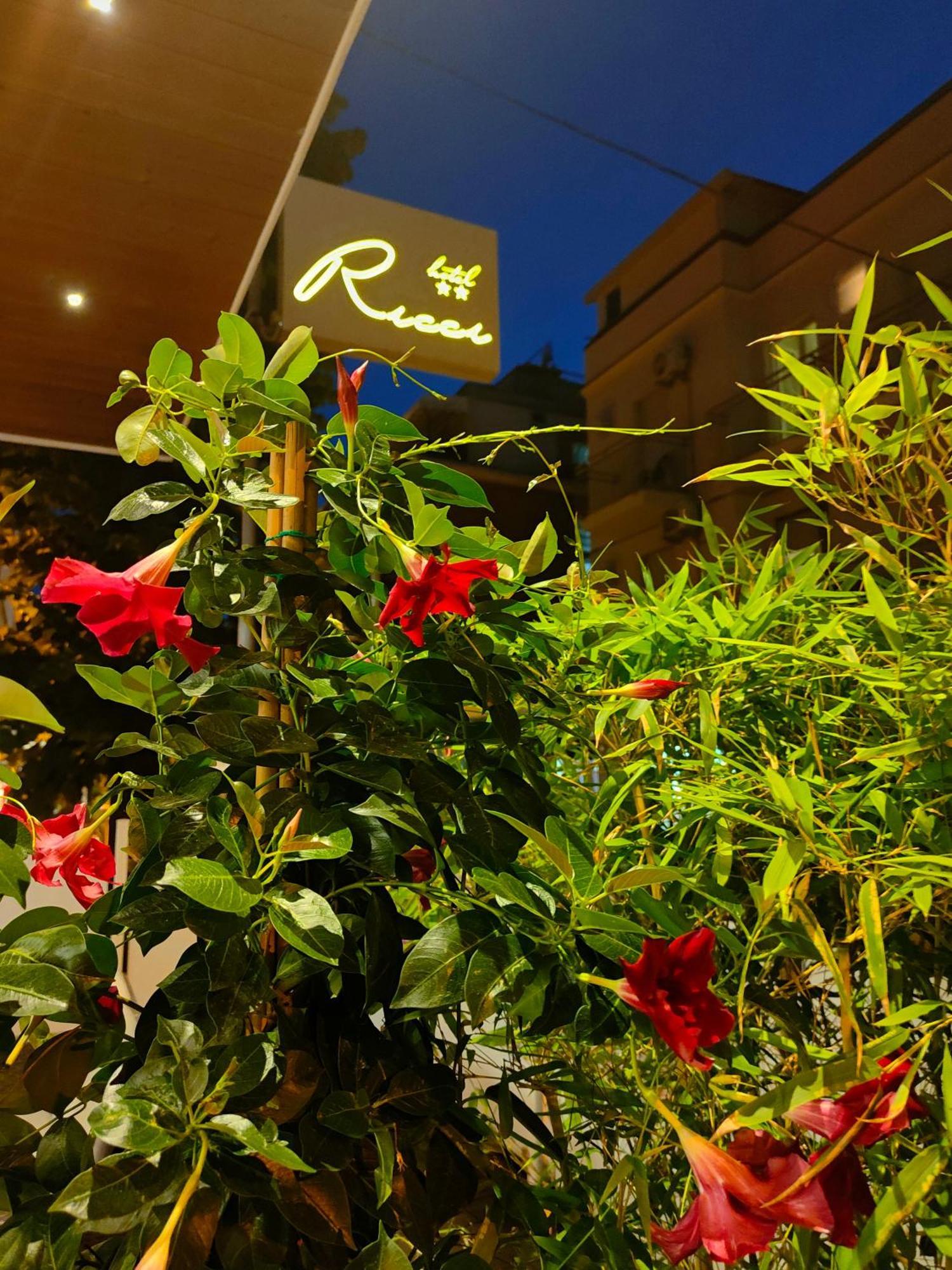 Hotel Ricci Ρίμινι Εξωτερικό φωτογραφία